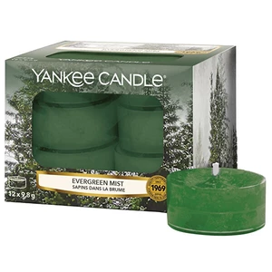 Yankee Candle Aromatické čajové svíčky Evergreen Mist 12 x 9,8 g