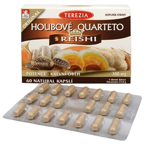 TEREZIA HUBOVÉ QUARTETO s REISHI 60