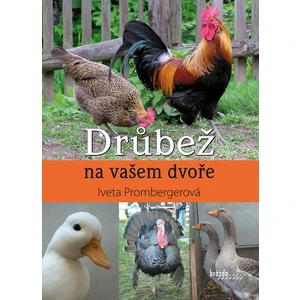 Drůbež na vašem dvoře - Prombergerová Iveta