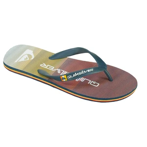 Men's flip-flops Quiksilver MOLOKAI MASSIVE