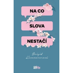 Na co slova nestačí - Brigid Kemmererová