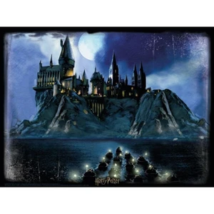 HM Studio 3D puzzle Harry Potter Hogwarts 500 ks