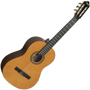 Valencia VC264 Antique Natural with Bag