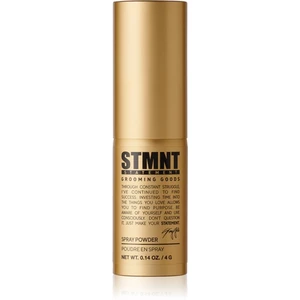 STMNT Staygold pudrový sprej pro definici a tvar 4 g