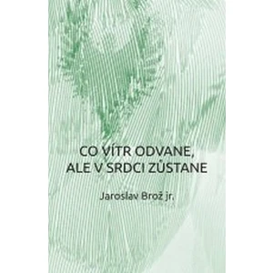 Co vítr odvane, ale v srdci zůstane - Jaroslav Brož