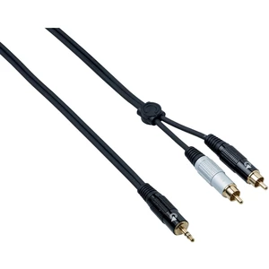 Bespeco EAYMSR500 5 m Cable de audio