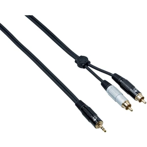 Bespeco EAYMSR500 5 m Kabel Audio