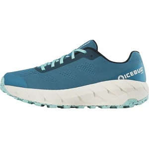 Icebug Arcus Mens RB9X Aqua 41