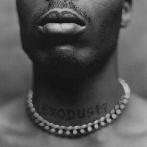 DMX - Exodus (LP)