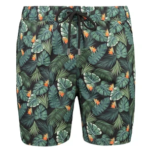 Pánské koupací kraťasy Trendyol Tropical Print