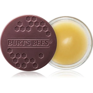 Burt’s Bees Lip Treatment intenzivní noční péče na rty 7.08 g