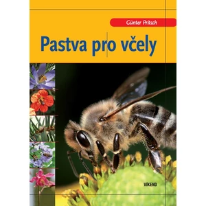 Pastva pro včely - Pritsch Günter