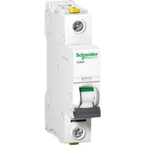 Elektrický istič Schneider Electric A9F07125, 25 A, 230 V