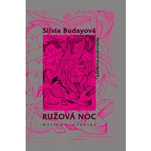Ružová noc - Silvia Budayová
