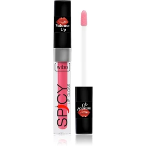 Wibo Lip Gloss Spicy lesk na pery pre väčší objem 8 3 ml