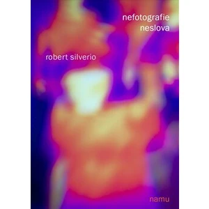 Non-photographs, non-words - Robert Silverio