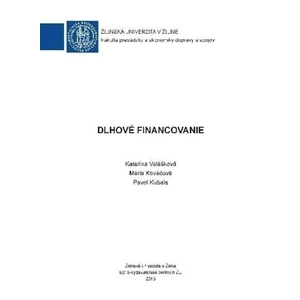 Dlhové financovanie