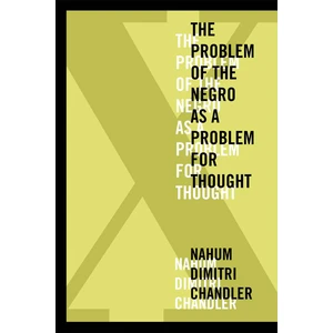 XâThe Problem of the Negro as a Problem for Thought