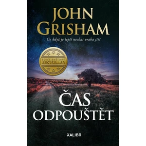 Čas odpouštět - John Grisham