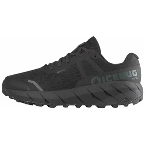 Icebug Arcus Womens RB9X GTX 38