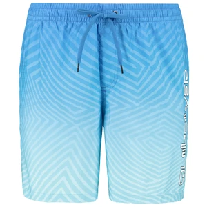 Pánske plavky Quiksilver EVERYDAY WARPED LOGO