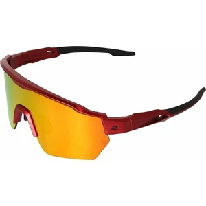 Sunglasses AP FREDE pomegranate