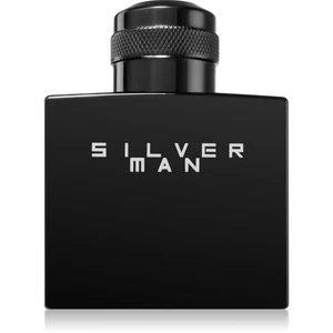 Jeanne Arthes Silver Man toaletná voda pre mužov 100 ml