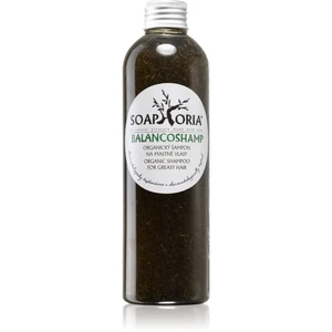 Soaphoria Hair Care tekutý organický šampón na mastné vlasy 250 ml