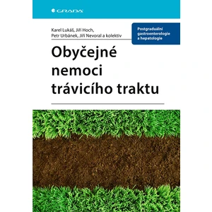 Obyčejné nemoci trávicího traktu, Lukáš Karel