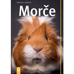 Morče - Immanuel Birmelin