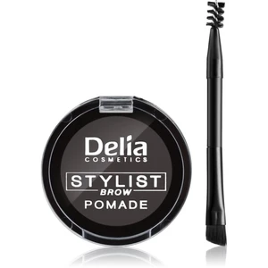 Delia Cosmetics Eyebrow Expert pomáda na obočie odtieň Graphite