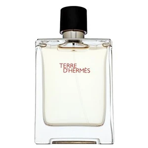 Hermes Terre d` Hermes - EDT 100 ml