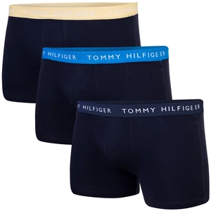 Tommy Hilfiger Man's Underpants UM0UM023240X0 Navy Blue