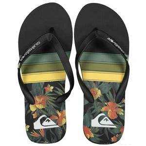 Men's flip-flops Quiksilver MOLOKAI ART SL