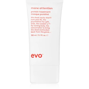EVO Repair Mane Attention hloubkově hydratační maska pro poškozené a barvené vlasy 150 ml