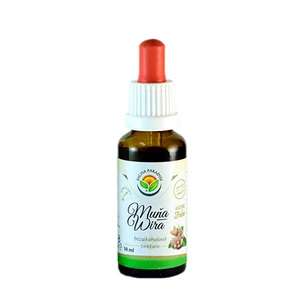 Salvia Paradise Muňa - Wira AF tinktura 50 ml
