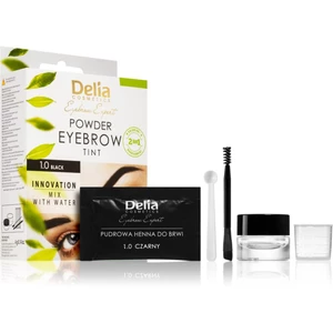 Delia Cosmetics Eyebrow Expert tónovací barva na obočí odstín 1.0 Black 4 g