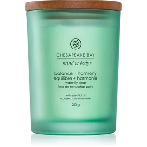 Chesapeake Bay Candle Mind & Body Balance & Harmony vonná svíčka 250 g