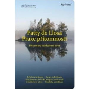 Praxe přítomnosti - Patty de Llosa