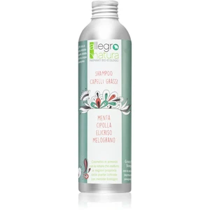 Allegro Natura Organic šampón pre mastné vlasy 250 ml