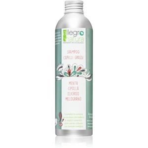 Allegro Natura Organic šampon pro mastné vlasy 250 ml