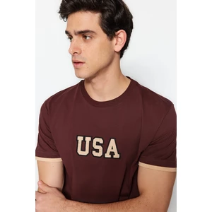 Trendyol Brown Men's Regular/Regular Cut Embroidery Detail Color Block 100% Cotton T-Shirt.
