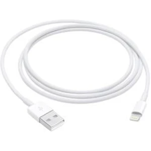 Lightning to USB Cable (1 m)