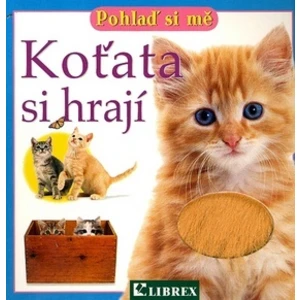 Koťata si hrají
