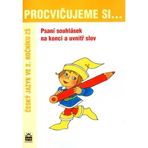 Procvičujeme si ... Psaní souhlásek na konci a uvnitř slov