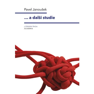 ... a další studie - Pavel Janoušek