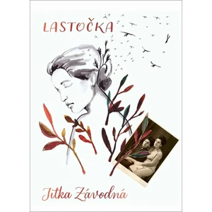 Lastočka - Jitka Závodná