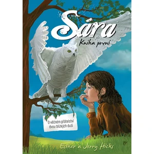 Sára. Kniha první - Jerry Hicks, Ester a Jerry Hicks