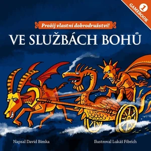 Gamebook: Ve službách bohů - David Bimka (ilustrace Lukáš Fibrich)