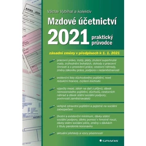 Mzdové účetnictví 2021 - praktický průvodce - Václav Vybíhal